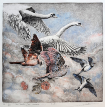 Isabelle Desaulty / Les oiseaux - gravure eau-forte aquatinte - 60x60 cm
